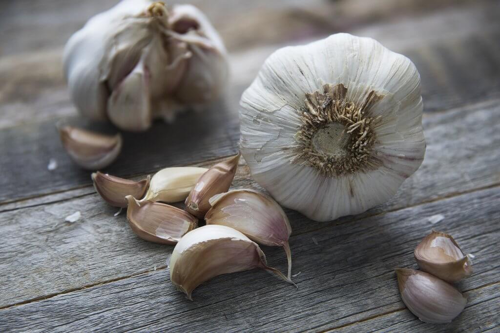 Garlic Bulbs and Cloves