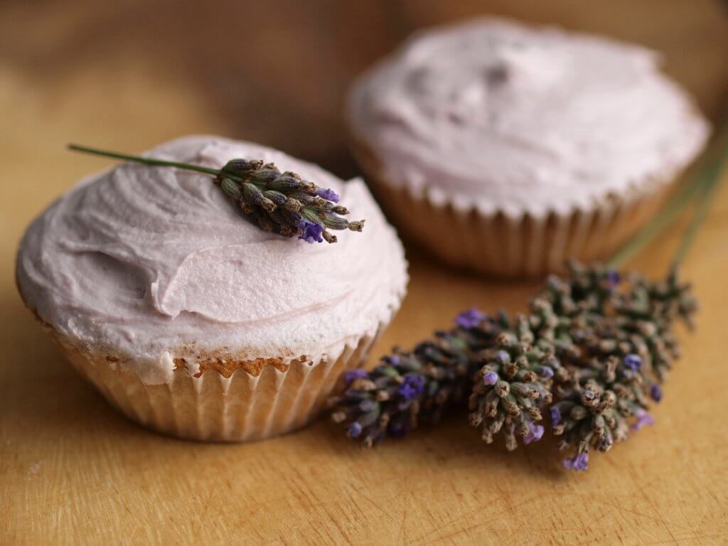 Lavender Cupcakes