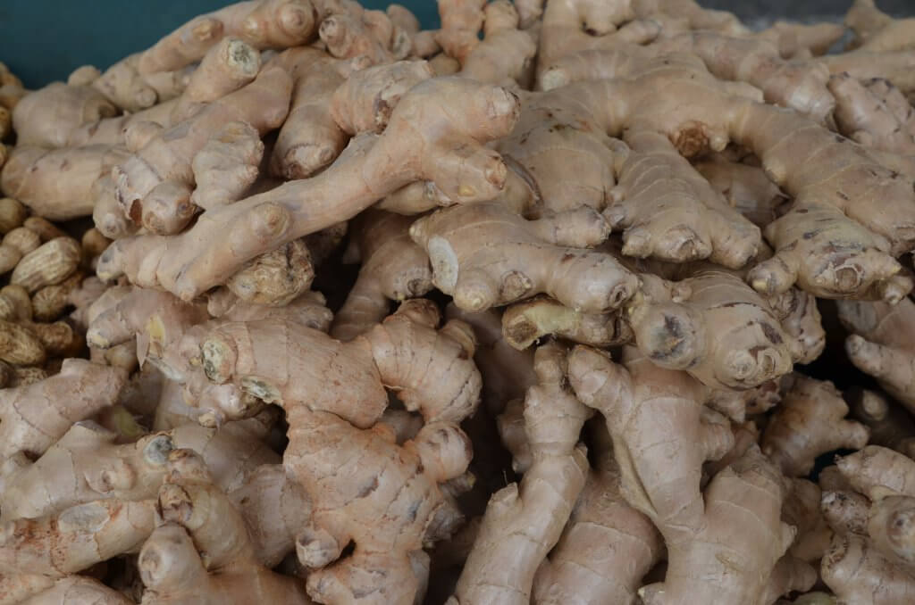 Ginger Rhizomes (Ginger Root)