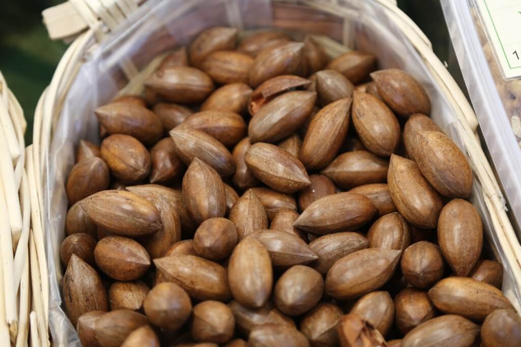 Basket of Pecan Nut Shells